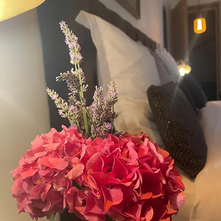 La Maison Du Clocher 4* 圣艾米隆